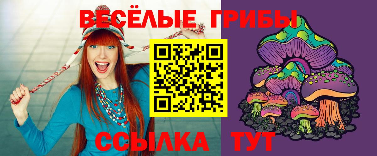 купить наркотики сайты  Псилоцибиновые грибы Psilocybine cubensis  Тельмана  Вход с VPN  Галлюциногенные грибы мухоморы 