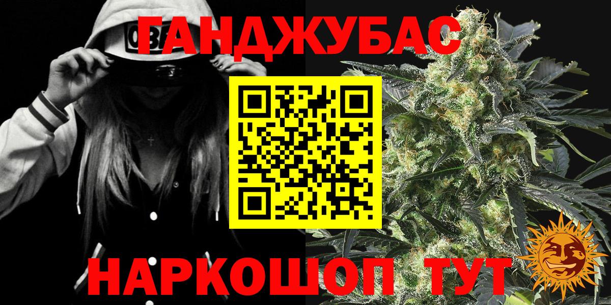 Каннабис сатива Тельмана